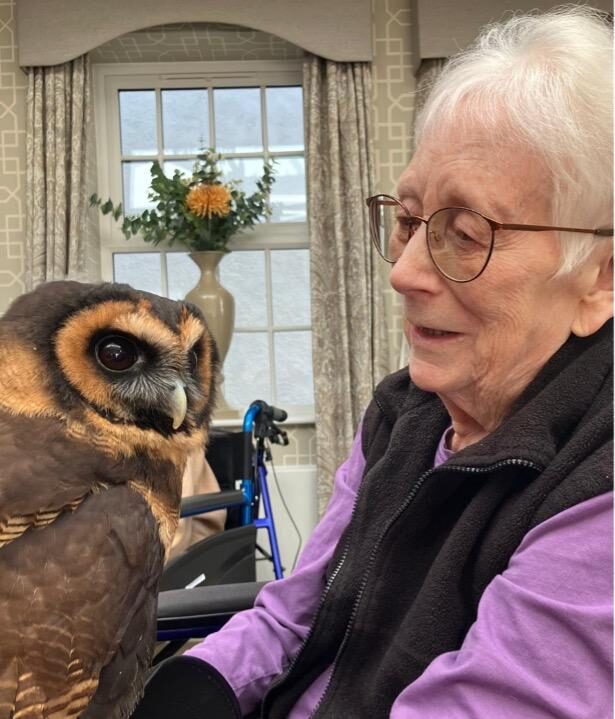 woody the owl with a resident