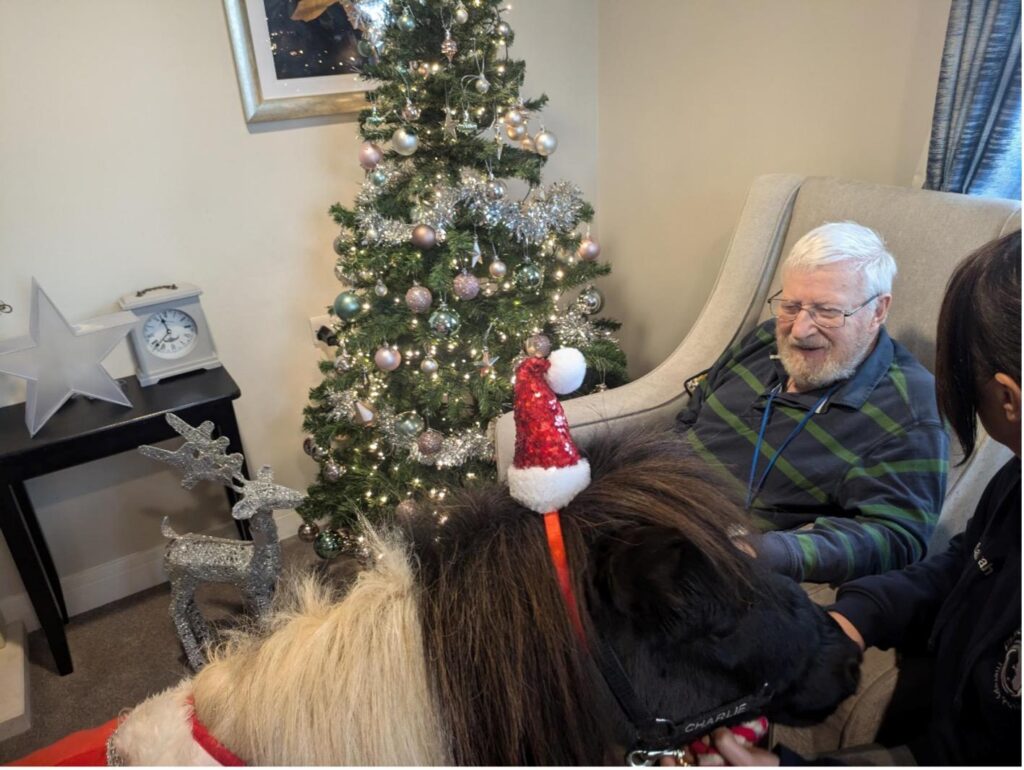 resident with horse doing pet therapy