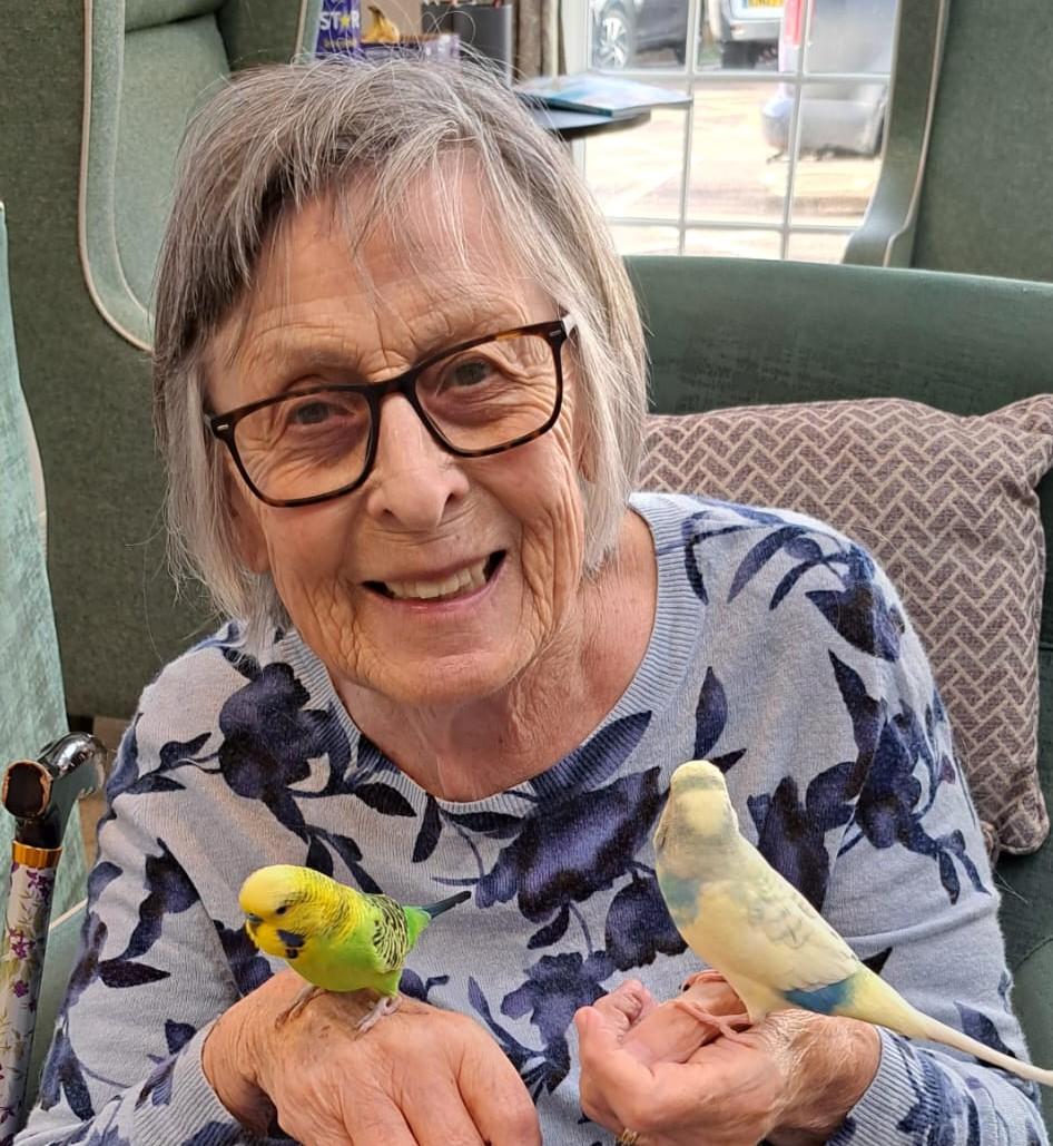 resident with birds