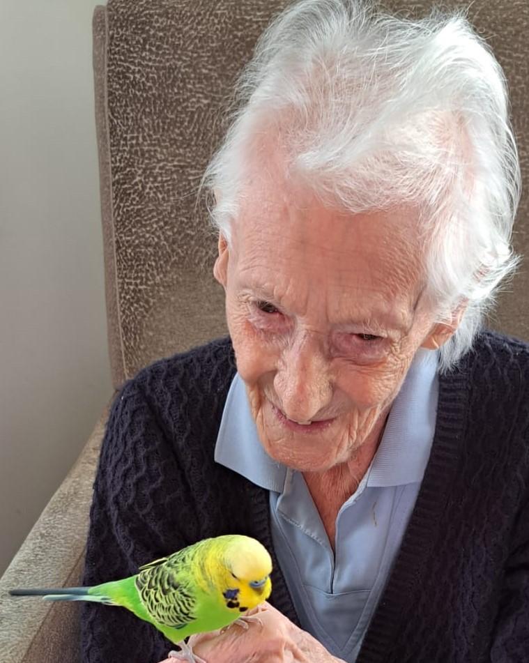 resident with birds