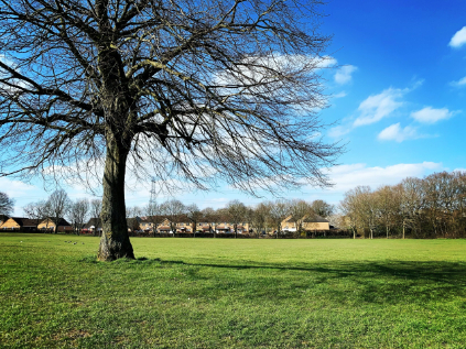 local field