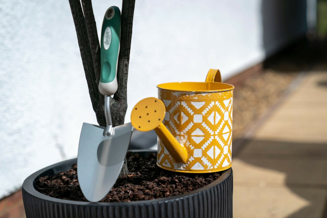 A watering can and plant pot