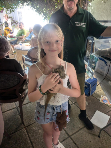 family fun day